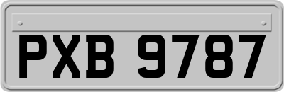 PXB9787