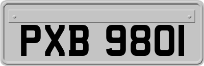 PXB9801