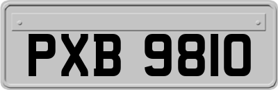 PXB9810