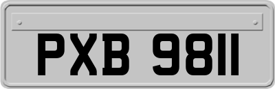 PXB9811