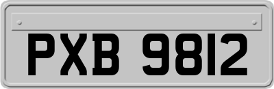 PXB9812