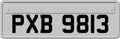 PXB9813