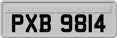 PXB9814