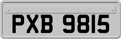 PXB9815