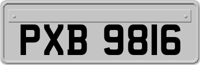 PXB9816