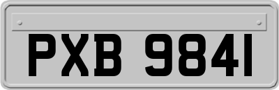 PXB9841