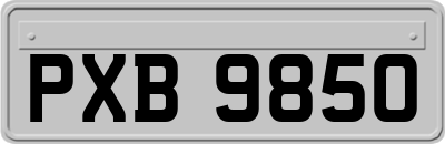 PXB9850