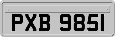 PXB9851