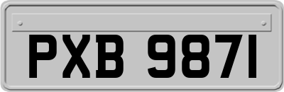 PXB9871