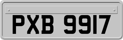 PXB9917