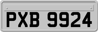 PXB9924