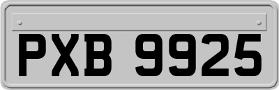 PXB9925