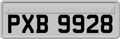 PXB9928