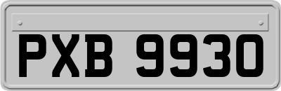 PXB9930