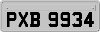 PXB9934