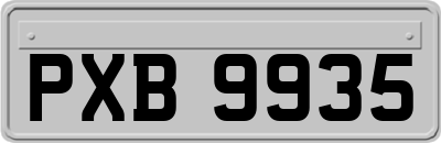 PXB9935