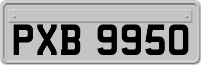 PXB9950