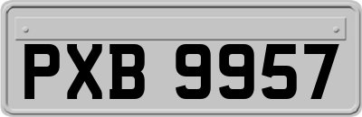 PXB9957