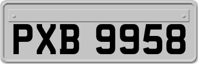 PXB9958