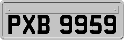 PXB9959