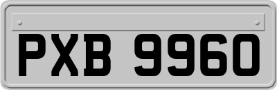 PXB9960