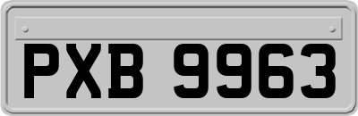 PXB9963