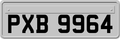 PXB9964