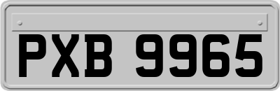 PXB9965