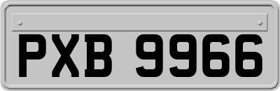 PXB9966