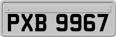 PXB9967