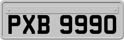 PXB9990