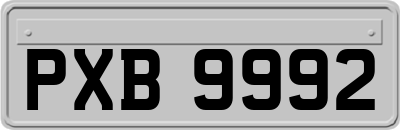 PXB9992