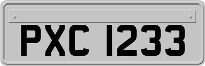 PXC1233