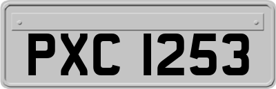 PXC1253