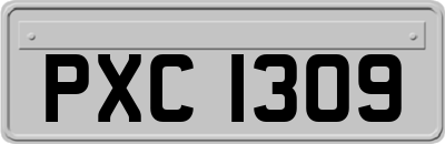 PXC1309