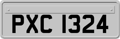 PXC1324