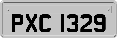 PXC1329