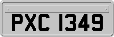 PXC1349