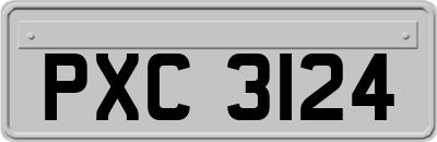 PXC3124