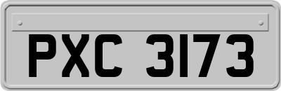 PXC3173