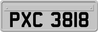 PXC3818