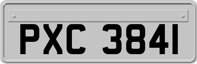 PXC3841