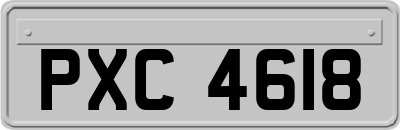 PXC4618