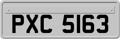 PXC5163