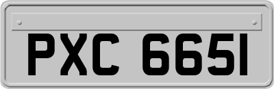 PXC6651