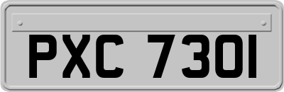 PXC7301