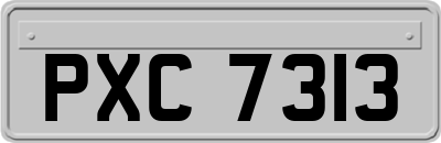 PXC7313