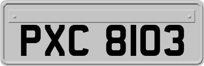 PXC8103