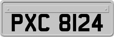 PXC8124