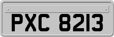 PXC8213